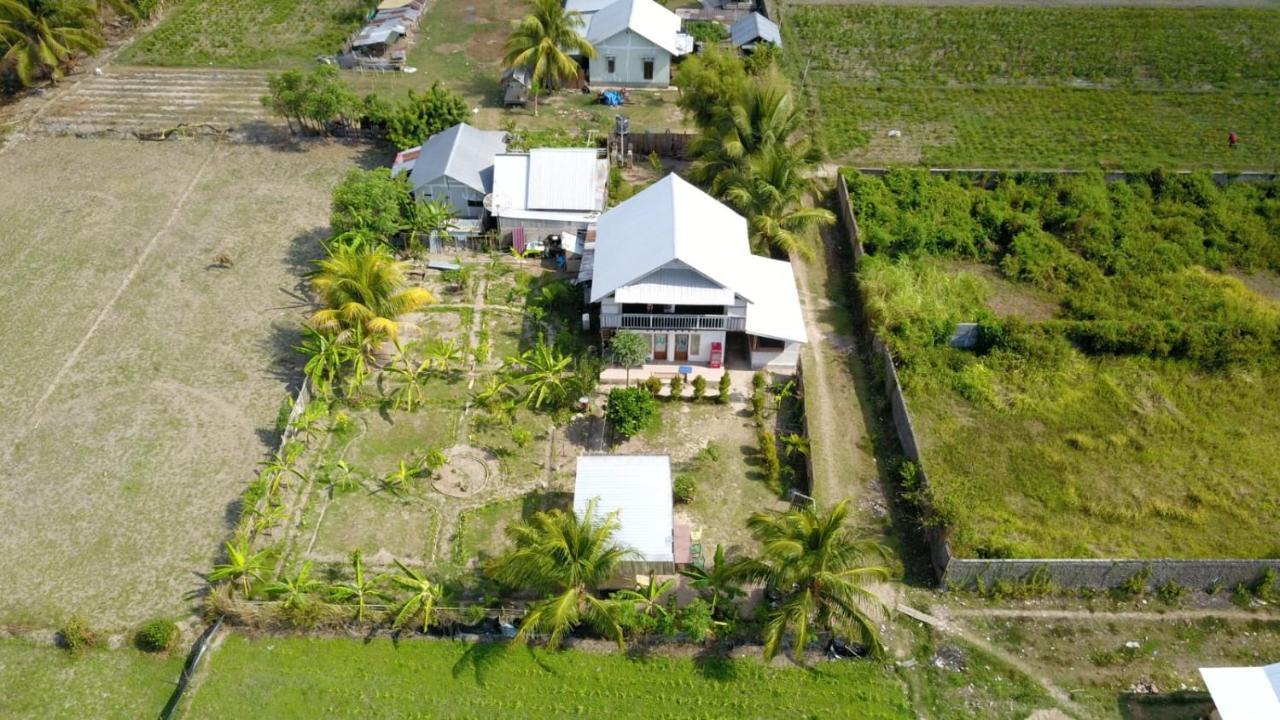 The Daun Puntik Homestay Pemenang Exterior foto